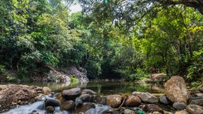 Vistas de áreas protegidas de Panamá. Vistas de áreas protegidas de Panamá.