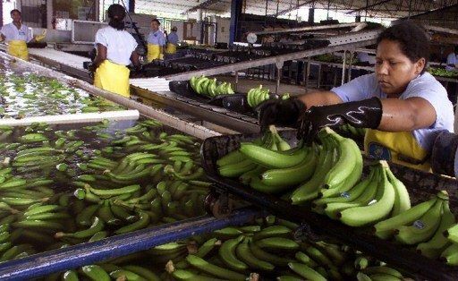 Exportaciones de Colombia llegaron a 20 mdd entre enero y abril