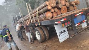 MiAmbiente remite caso a Fiscalía Ambiental MiAmbiente remite caso a Fiscalía Ambiental