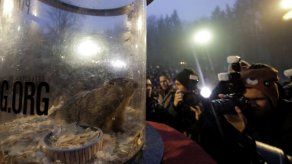 Marmota de Pennsylvania pronostica 6 semanas más de frío