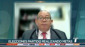 TE sostiene que Realizando Metas debía organizar las elecciones según su reglamento
