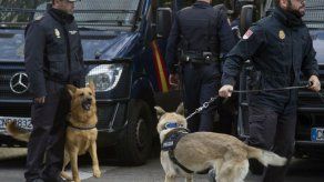 ONG española pide en la ONU legislación que regule trabajo de perros policía