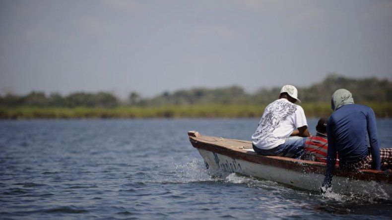 Organizaciones de A.Latina condenan desastre ecológico en río de Guatemala