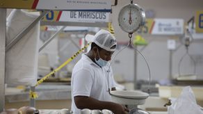 Foto ilustrativa de manipuladores de alimentos.