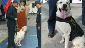 Colombia: jubilan a Mona