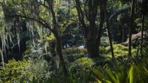 UNESCO reconoce jardín de Río como Patrimonio Mundial.