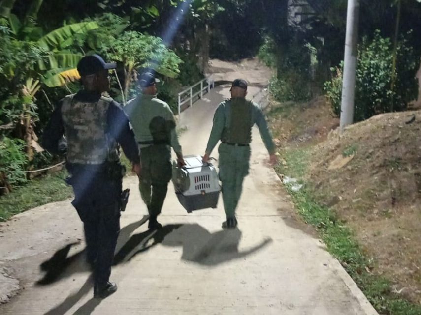 Rescatan a perro herido por proyectil en Loma Bonita