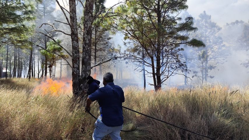 Incendio de masa vegetal en Chiriquí.