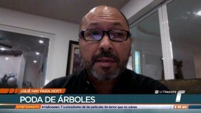 Representante de Rufina Alfaro explica poda de árboles en Cerro Viento