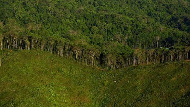 BM dona 9,6 millones de dólares para conservación de biodiversidad en Panamá