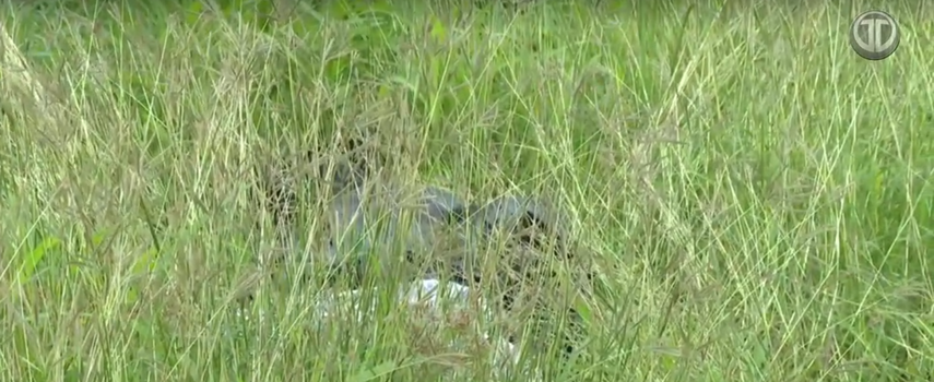 Cuerpo sin vida hayado en Tinajitas