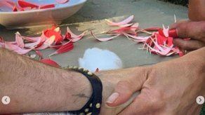 Muere la adorada perrita de Jennifer Aniston y Justin Theroux