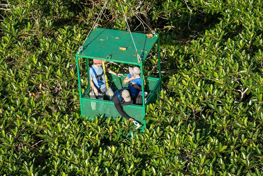 Los registradores de data el Parque Natural Metropolitano guardan datos de temperaturas y humedad de suelo. Los registradores de data el Parque Natural Metropolitano guardan datos de temperaturas y humedad de suelo.