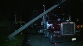 Mula derriba varios postes de luz en la Vía Centenario