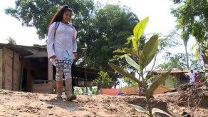 Autoridades atienden situación de una familia que vive entre un manglar