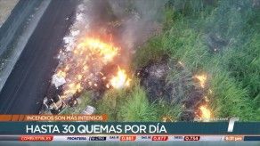 En Panamá se registran a diario entre 25 y 30 incendios de herbazales