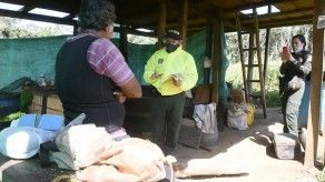 Ocho capturados en operación contra la deforestación en Colombia