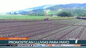 Fenómeno del Niño podría afectar el país desde junio