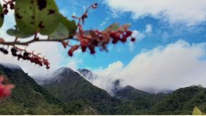 MiAmbiente permite el acceso a áreas protegidas chiricanas como Parque Nacional Volcán Barú, Parque Nacional Marino Golfo de Chiriquí, Parque Internacional La Amistad y Refugio de Vida Silvestre Playa La Barqueta Agrícola. MiAmbiente permite el acceso a áreas protegidas chiricanas como Parque Nacional Volcán Barú, Parque Nacional Marino Golfo de Chiriquí, Parque Internacional La Amistad y Refugio de Vida Silvestre Playa La Barqueta Agrícola.