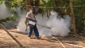 Detectan caso de zika en mujer embarazada en San Miguelito