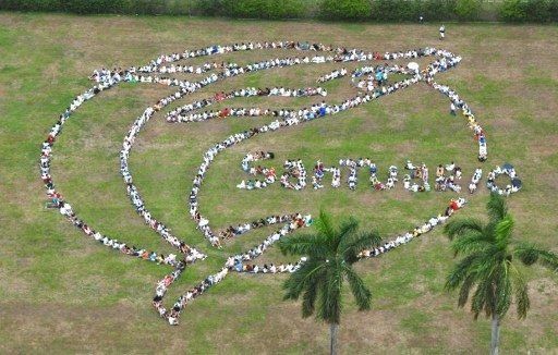 Greenpeace exige en Panamá acabar con la caza de ballenas