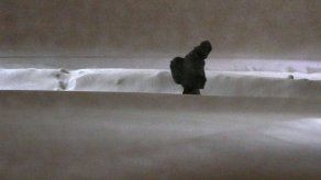 Nieve y vientos afectan Nueva Inglaterra