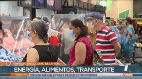 Expertos dan recomendaciones para que rinda más el presupuesto