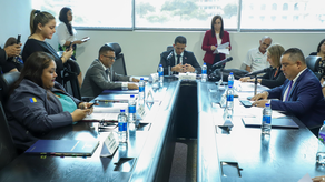 Asamblea Nacional prohíjan anteproyectos