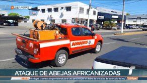 Bomberos han realizado 104 salidas por ataque de abejas africanizadas en Veraguas