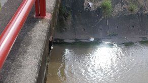 AAUD sancionará a conductora captada arrojando basura a una quebrada AAUD sancionará a conductora captada arrojando basura a una quebrada