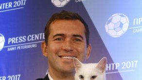 En la Confederaciones