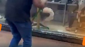 Mayer Mizrachi anuncia mudanza de la Alcaldía tras inundaciones en el Edificio Hatillo.