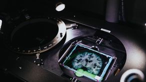 El cerebro humano es un órgano compuesto por unos cien mil millones de neuronas.