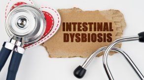 Salud intestinal es clave para reforzar sistema inmunológico