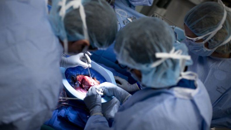 Mensualmente más de 300 personas están en lista de espera para un trasplante de órgano