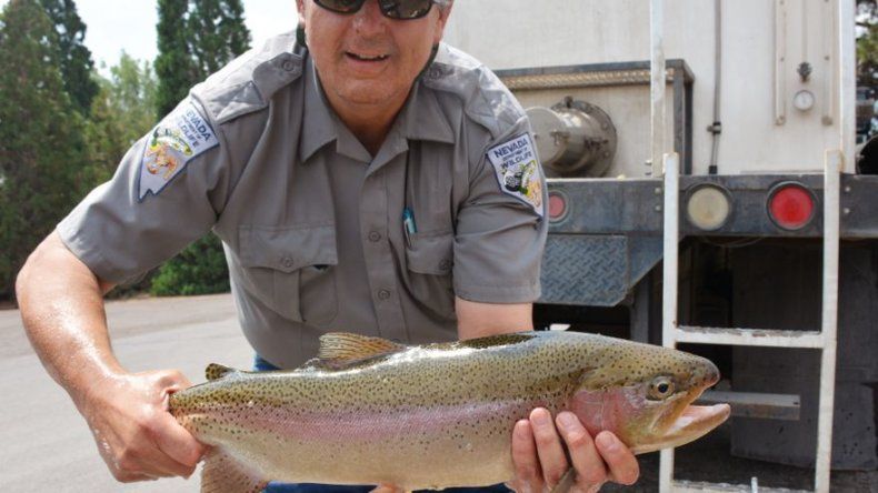 Rescatan de sequía a miles de peces en Nevada