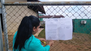 MiAmbiente sanciona a una empresa dedicada al cultivo de piña en La Chorrera.