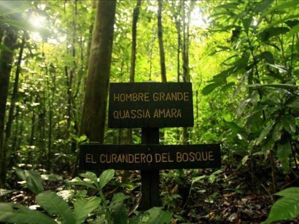 Reservas Naturales Privadas, un paso más para mitigar el cambio climático