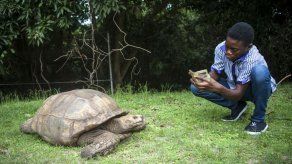 Muere a los 344 años Alagba