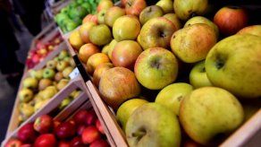 Aupsa desmiente nuevamente ingreso de manzanas contaminadas a Panamá