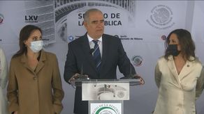 Senadores del Partido Acción Nacional (PAN).