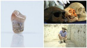 Descubren restos de supuestos antepasados del hobbit de Flores