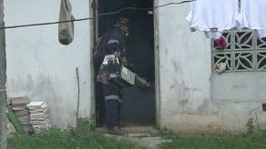 Intensifican operativos de fumigación en Panamá Oeste