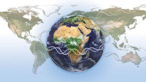 Crean atlas para descubrir enfermedades hereditarias en poblaciones diversas
