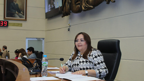 Diputada presidenta Dana Castañeda