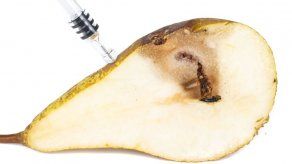 Ilustrativa/ Dreamstime