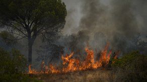 Miles huyen de casas