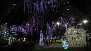 Encendido de luces navideñas.