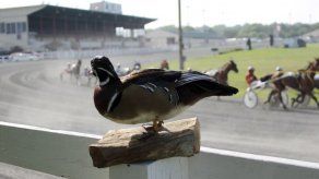 EEUU: Policía usa humor en las redes sociales