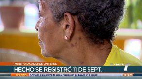 Persona de la tercera edad es atacada por can